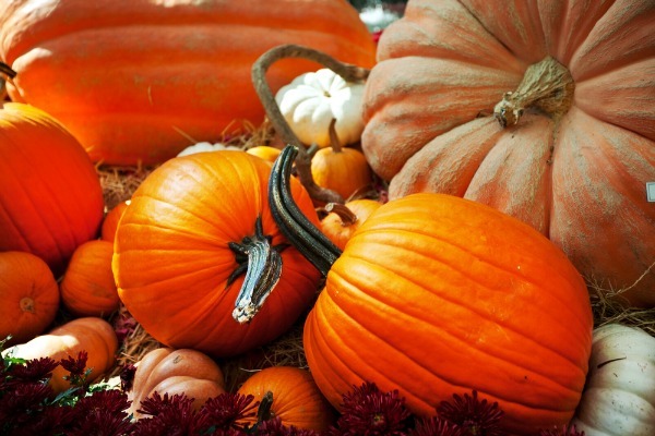 La dieta de otoño para estimular el sistema inmunológico